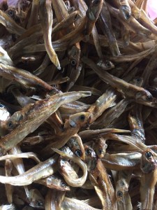 Cá cơm cá tạp khô - Hộ Kinh Doanh Lê Văn Dũng - Đại Lý Nguyên Liệu Sản Xuất Thức Ăn Chăn Nuôi